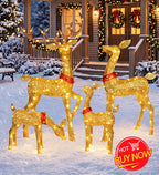 3-Piece 2D Lighted Christmas Deer Family Set - Large Outdoor Yard Reindeer Holiday