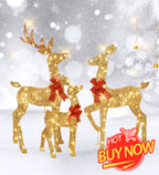 3-Piece 2D Lighted Christmas Deer Family Set - Large Outdoor Yard Reindeer Holiday