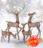 3-Piece 2D Lighted Christmas Deer Family Set - Large Outdoor Yard Reindeer Holiday